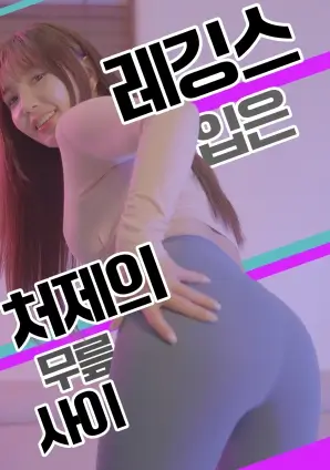 大明王朝1566 排行图